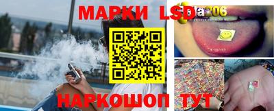 шишки Лесосибирск