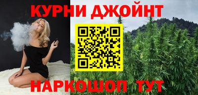 шишки Лесосибирск