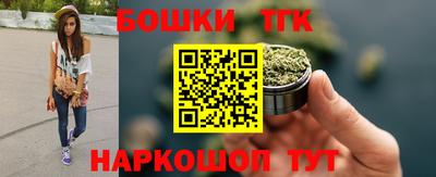 шишки Лесосибирск