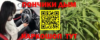 шишки Лесосибирск