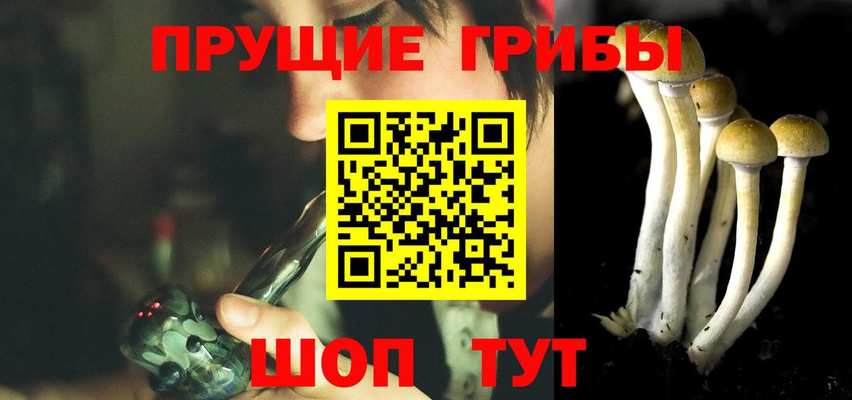 Псилоцибиновые грибы Psilocybe  Галлюциногенные грибы Psilocybe  Вход с VPN  Холмск 