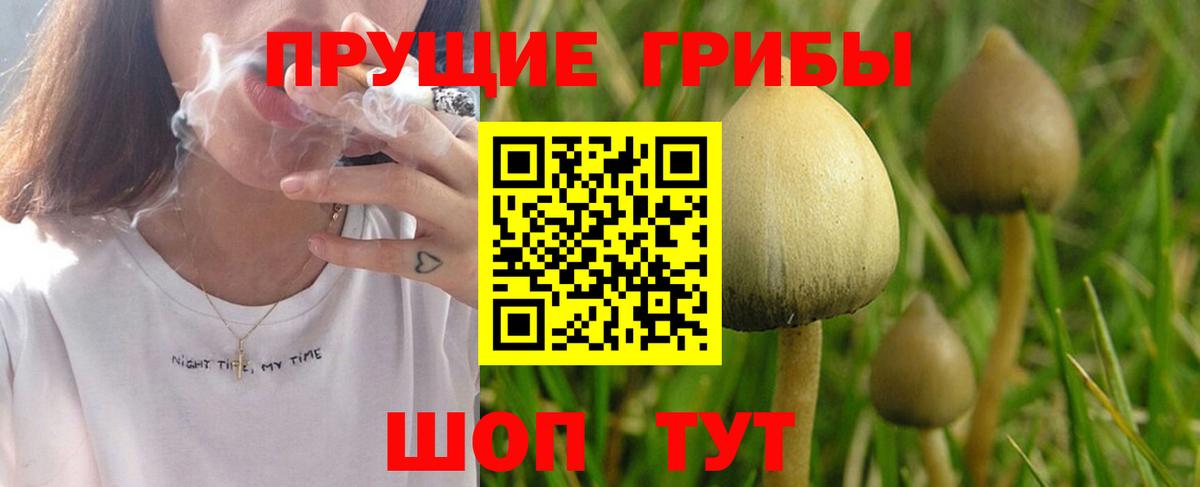 Псилоцибиновые грибы MAGIC MUSHROOMS Холмск