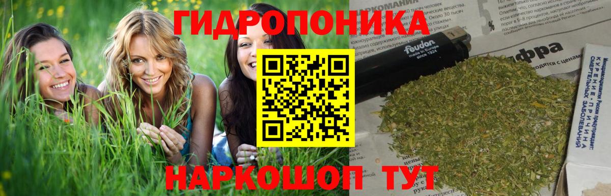 Шишки марихуана планчик  Вход с VPN  Бошки марихуана White Widow  Канабис конопля  Холмск 